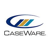 Caseware - PinkWeb koppeling